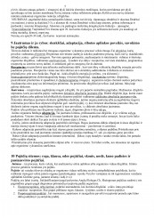 www.speros.lt
